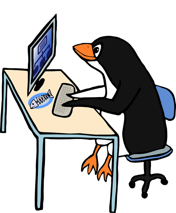 linux-154544_960_720